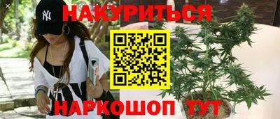крисы Северобайкальск