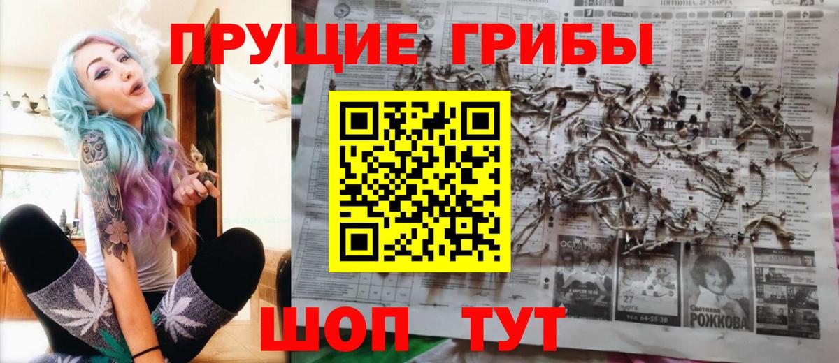 Сибай  Псилоцибиновые грибы ЛСД  Вход с VPN  Галлюциногенные грибы Cubensis 