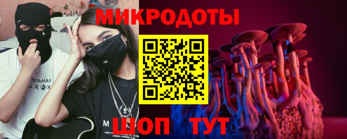 Псилоцибиновые грибы Psilocybe Сибай